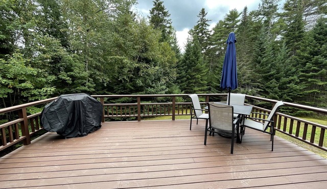 Affordable Bloomfield Apt - Walking Distance to Blunt's Pond!