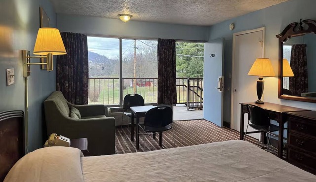 Affordable Comfort in Pet-Friendly King Room with Microwave and Fridge