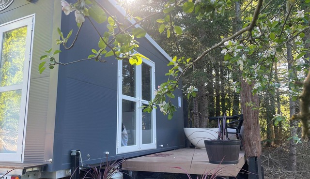 Affordable & cosy alpine cabin - an ideal couples retreat with outdoor bath!