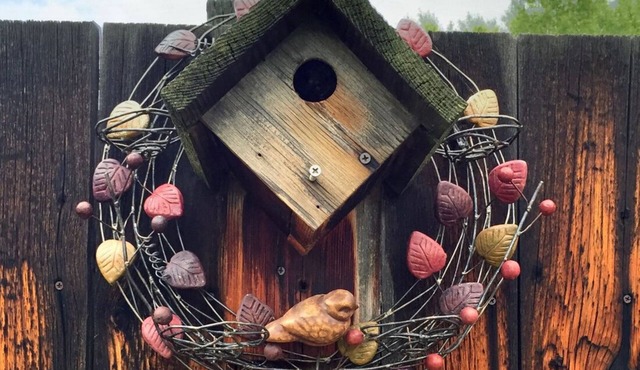 AFFORDABLE Glorified Basecamp -"The Bird House"