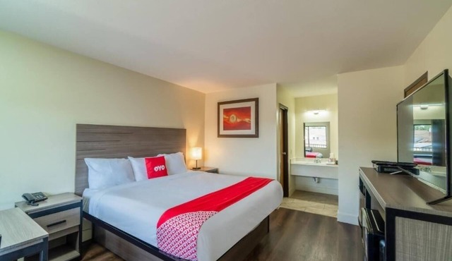 Affordable King-Bed Room Ideal for Pet Owners at Houston Stay