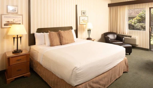 Affordable Lodging! Breakfast Included! Near Meydenbauer Bay Park! Pets Allowed!