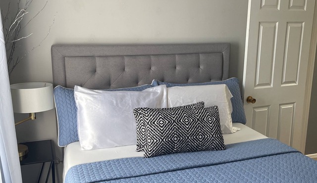 Affordable Luxury Town Home in Federal Hill Baltimore.