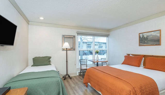 Affordable Pet-Friendly Hotel Room With Great Location