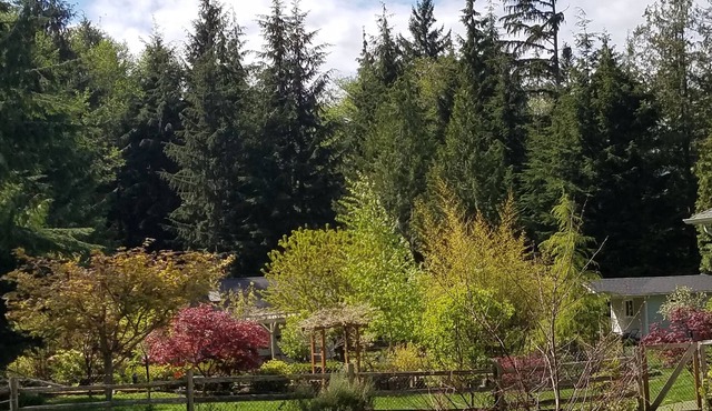 Affordable Private Guest House