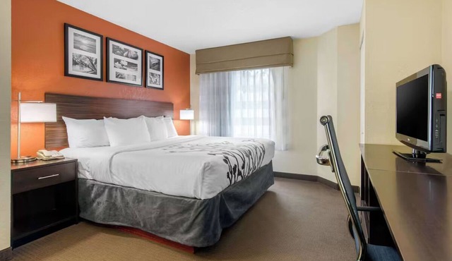 Affordable Room w/1 King Near Sarasota Jungle Gardens – Perfect for Families