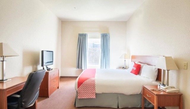 Affordable Stay Perfect for Budget Travels
