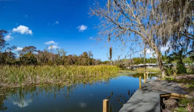 Affordable Tiny Home with Tranquil View - Palmetto