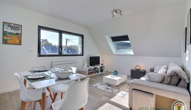 Agapanthus - PERROS GUIREC