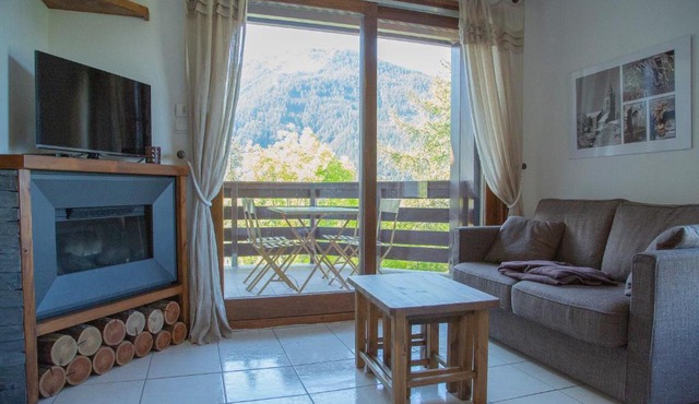 Agence Des Orres - Le Balcon de Pramouton - T2 + Coin Nuit - BDP6