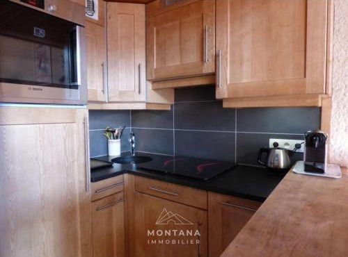 Agréable appartement montagnard pour 6 pers. proche commerces et télécabines - FR-1-458-149