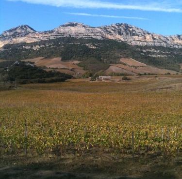 Agréable Location au coeur du vignoble DOMINICI THERESE