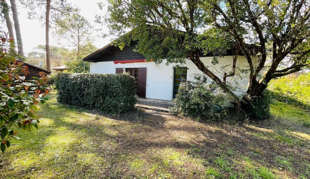 Agréable maison de vacances avec jardin pour 6 personnes à Biscarrosse Plage (208)