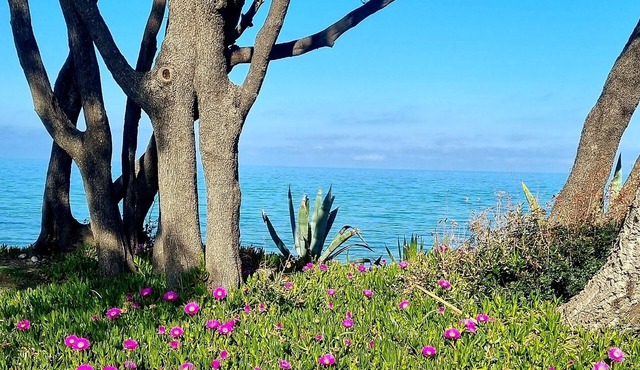 Agréable Maison « U Nidu » T3 de 65m2 à 500m de la mer