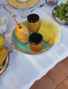 Agriturismo SoleMare in Stromboli