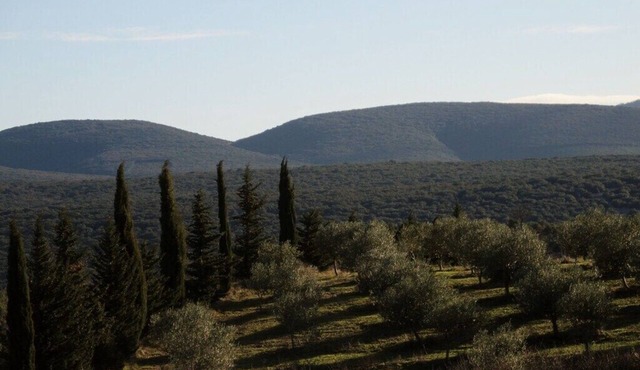 Agrotourism at Domaine de Pontet-Fronzele, "le Murier" gîte