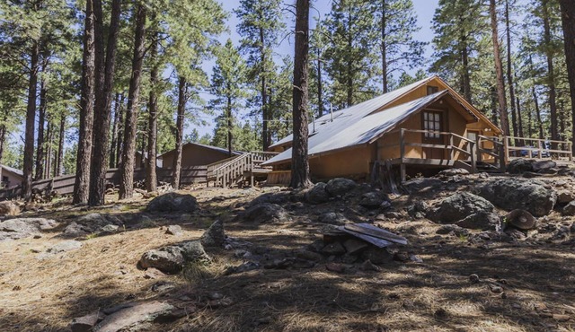 Ah! Peace & Nature among the pines-65 miles to Grand Canyon & 25 to Flagstaff