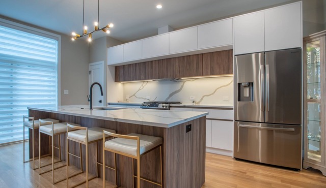 Ahh-mazing Home, rooftop deck, near lake front. Easy commute to Navy Pier/Loop.