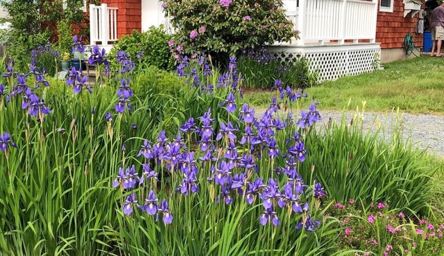 Ahhh summer! 1 Block walk to Sand Hill Cove beach-with wagon for 'little legs'