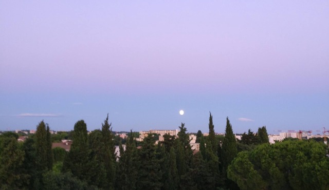 Aiguelongue, head in the stars