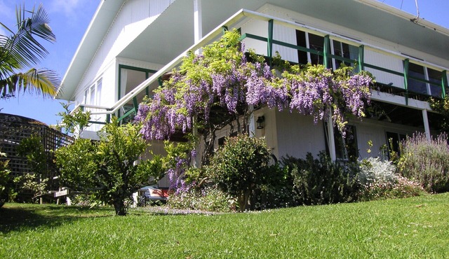 Aimeo Iti Studio in subtropical garden, very quiet and close to beach and town