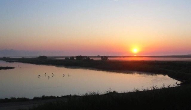 Air-conditioned Flamingo room with pond view (free breakfast).