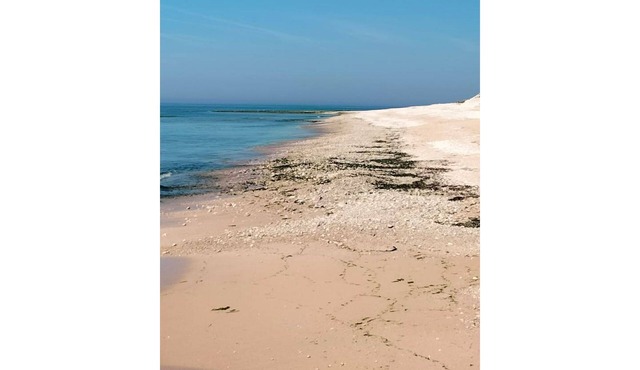 air-conditioned studio near La Rochelle and the Vendée beaches!