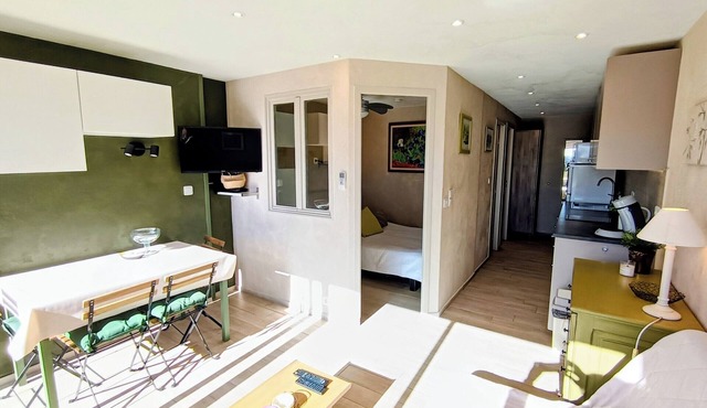 Air-conditioned apartment at the foot of the beach, magnificent sea view, close to shops