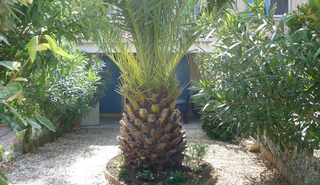 Air-conditioned villa with wifi pool in residence 300 m from the beach