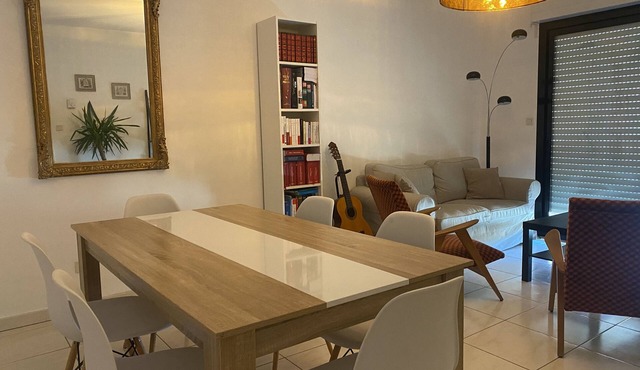 Air-conditioned apartment with terrace Albert 1er