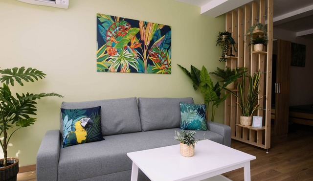 Air-conditioned apartment - hyper-center - Green Nature