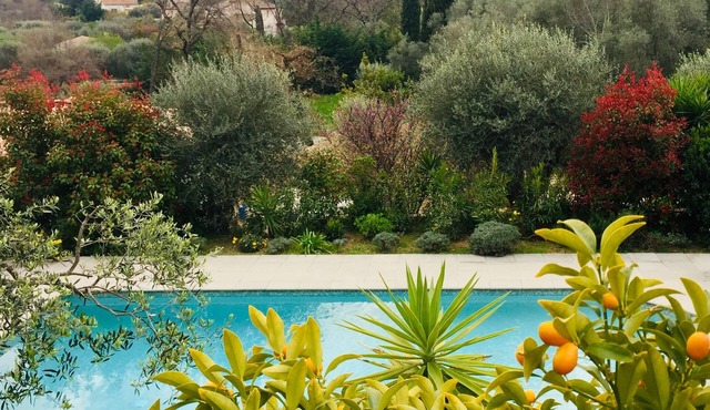 Air-conditioned artist's house 160 m2 quiet swimming pool olive trees between sea and hills