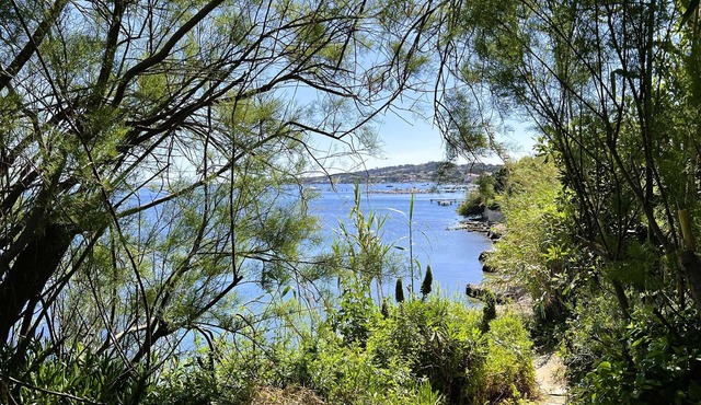 Air-conditioned cabin for 7 people, with access to the beach on the Giens peninsula