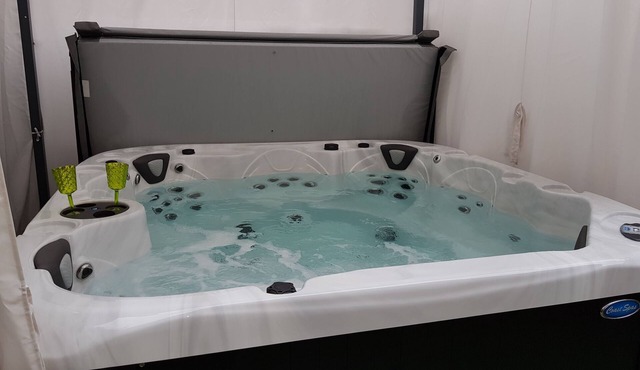 air-conditioned house in colmar town center with jacuzzi and private garden