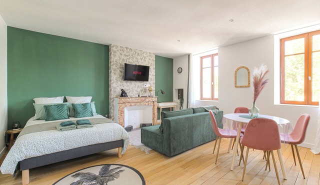 Air-conditioned Safari apartment with Rhône view 2/4pers