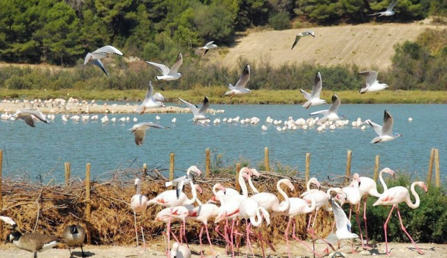 Air-conditioned townhouse, Spa and large terrace 5 minutes from the town center.