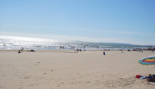 Air-conditioned Villa and swimming pool between Sea and Countryside (Gde Motte 20 ', Sommières 10')