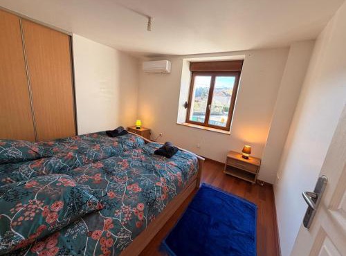 Air Hockey and Garden