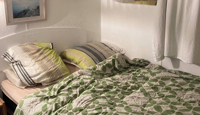 Airial in the Landes forest, 10 minutes from the beach