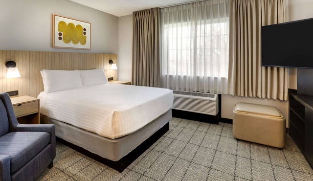 Airport Convenience! 3 Modern Units, Full Kitchen, Swimming Pool, Free Parking!