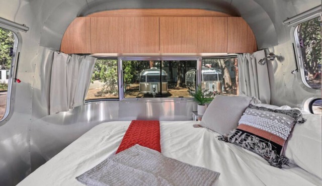 Airstream - (Eucalyptus)