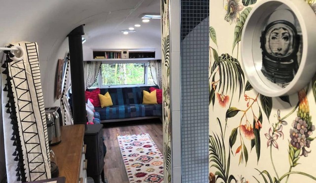 Airstream Woodland Escape