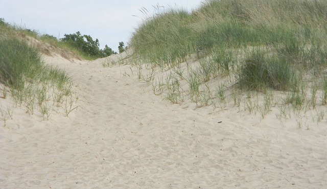 Airy and bright, Cottage Blue Welcomes You!