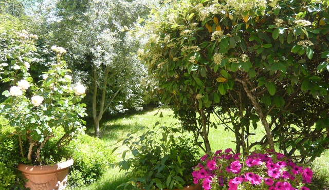 AIX EN PROVENCE. BEAUTIFUL PRIVATE GARDEN APARTMENT IN LUXURY RESIDENCE WITH SWIMMING POOL