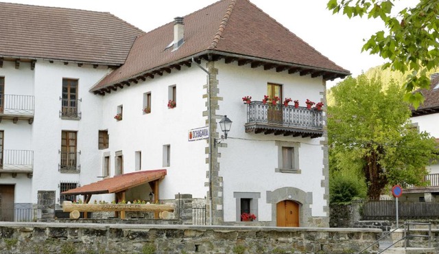 Aizkolarienea