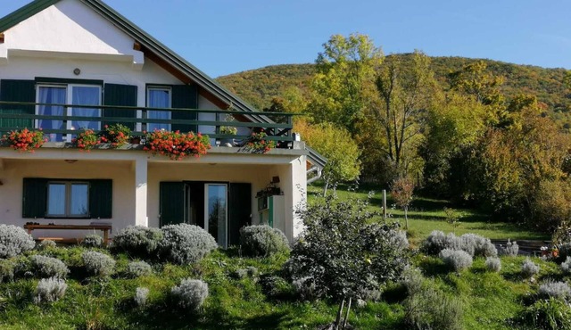 Ajda lavander apartment in Mutilić, Croatia - 2 Bedroom Apartment