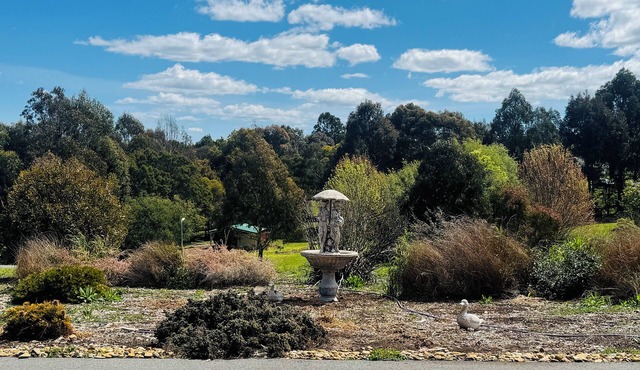 Alaaya where comfort, serenity, and family togetherness await.