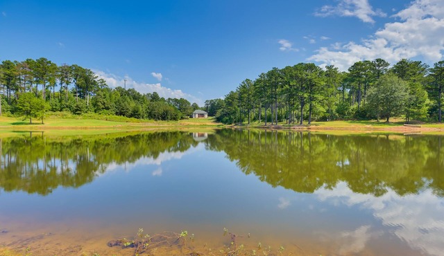 Alabama Retreat w/Private Pond, Deck & Pool Table