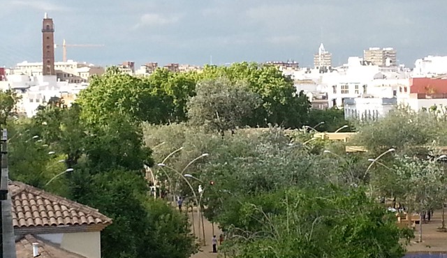 Alameda overview apartment