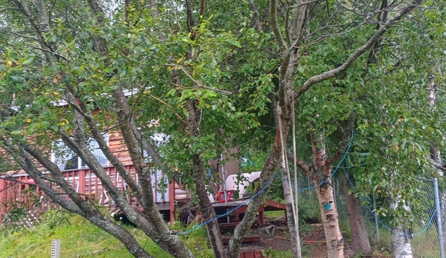 Alaskan Cabin near Girdwood, Aleyska, and Anchorage